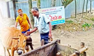 সুন্দরগঞ্জে ৮০ পয়সার টিকা ২০-৩০ টাকায় বিক্রি 