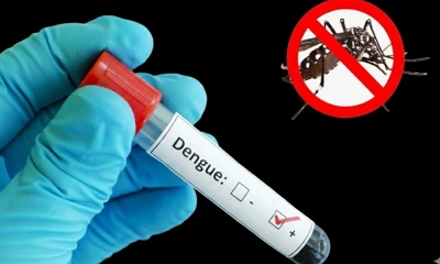 ডেঙ্গুতে ১০ জনের মৃত্যু, হাসপাতালে ভর্তি ১০৬৯