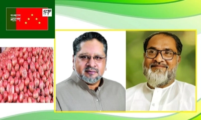 বাংলাদেশ ন্যাপ চেয়ারম্যান জেবেল রহমান গানি ও মহাসচিব এম. গোলাম মোস্তফা ভূঁইয়া। ছবি - সংগৃহীত