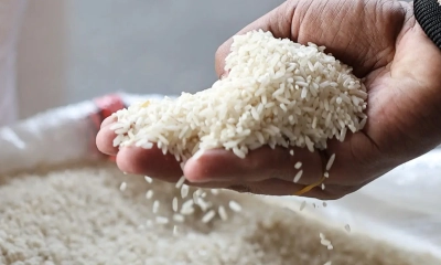 হাতে চাল।  ছবি- সংগৃহীত