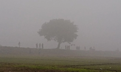 আসছে শৈত্যপ্রবাহ, বৃষ্টির শঙ্কা