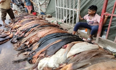 অস্তিত্ব সংকটে চট্টগ্রামের চামড়াশিল্প