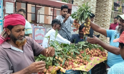 মৌসুমের আগেই বাজারে অপরিপক্ব আম-লিচুতে সয়লাব