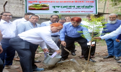 রূপালী ব্যাংক পিএলসি