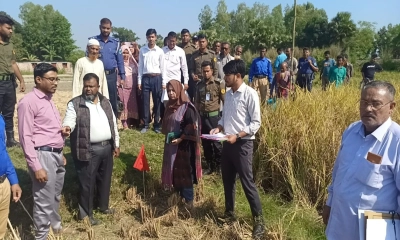 দুর্নীতির অন্ধকার রহস্য: ভাইয়ের দ্বন্দ্বে বেরিয়ে এল জ্ঞাত আয়বহির্ভূত সম্পদ