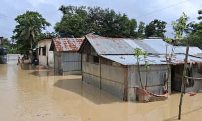 ছবি : সংগৃহীত