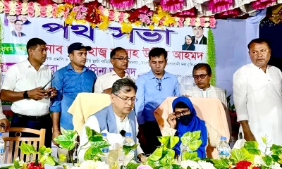 গণতন্ত্রের পথে বাধা নয়, নির্বাচনের মৌসুম শুরু: সালাহউদ্দিন আহমেদ