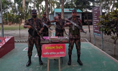 বিজিবির অভিযানে ক্রিস্টাল মেথ আইসসহ ৫ কোটি ৬২ লাখ টাকার অবৈধ পণ্য জব্দ