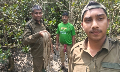 সাতক্ষীরায় হরিণ শিকারের ২৫ ফাঁদ উদ্ধার
