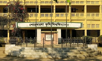 টেকসই উন্নয়নে বৈশ্বিক স্বীকৃতি, বিশ্ব র‌্যাংকিংয়ে শেকৃবি