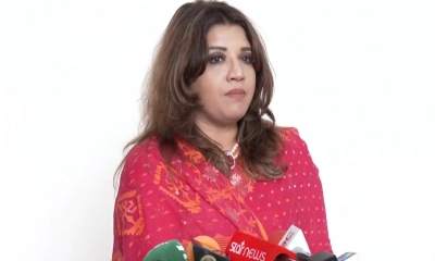 ভিসা জটিলতা নিরসনে সরকার কাজ করছে : পররাষ্ট্র প্রতিমন্ত্রী