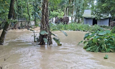 শেরপুরে ভারী বর্ষণ ও পাহাড়ি ঢলে প্লাবিত নিম্নাঞ্চল, পানিবন্দী দুই শতাধিক পরিবার