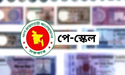 নতুন পে-স্কেল কেন স্থগিত করতে চায় আইএমএফ?
