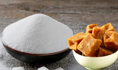 চিনি বনাম গুড়: মিষ্টির আড়ালে শরীরের জন্য বেশি ক্ষতিকর?