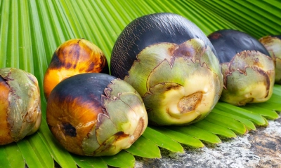 পাকা তালের স্বাস্থ্য উপকারিতা