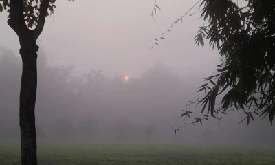 তেঁতুলিয়ায় শীতের দাপট, কুয়াশায় ঢেকে গেছে প্রকৃতি