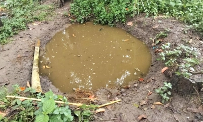ঠাকুরগাঁওয়ে ময়লার গর্তে ডুবে প্রাণ গেল ৩ বছরের শিশুর