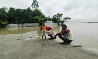 কমছে তিস্তার পানি, বাড়ছে দুর্ভোগ