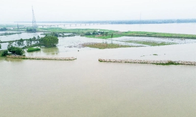 উজানের ঢল অব্যাহত, বন্যা আতঙ্কে তিস্তাপারের মানুষ