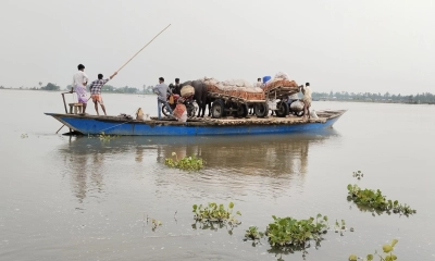 বিপৎসীমা পার করল তিস্তার পানি