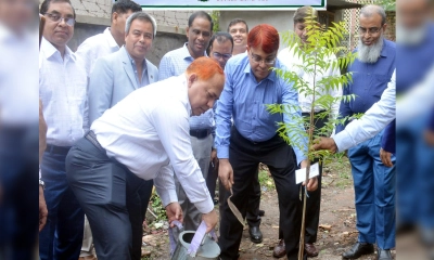 জুলাই পুনর্জাগরণ ও তারুণ্যের উৎসব উপলক্ষে রূপালী ব্যাংকে বৃক্ষরোপণ কর্মসূচি
