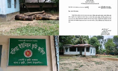 টেন্ডার ছাড়াই ভূমি অফিসের বিভিন্ন প্রজাতির গাছ কর্তনের অভিযোগ উঠেছে ইউনিয়ন ভূমি সহকারী কর্মকর্তা (তহশিলদার) আবুল কালাম আজাদের বিরুদ্ধে। ছবি- রূপালী বাংলাদেশ
