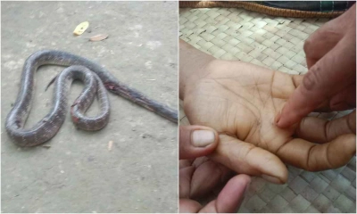 সাপের কামড়ে গৃহবধূর মৃত্যু