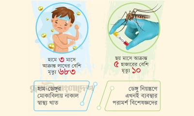 চোখ রাঙাচ্ছে ডেঙ্গু