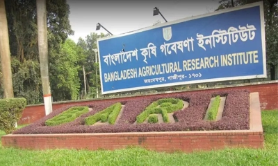 জনবল নিচ্ছে কৃষি গবেষণা ইনস্টিটিউট, বেতন ৪৩০০০-৬৯৮৫০