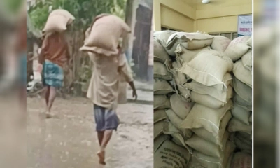 ভ্যান থামিয়ে দরিদ্রের চাল ছিনতাই করলেন বিএনপি কর্মীরা