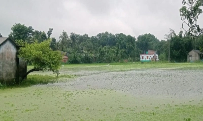 টানা বৃষ্টিতে সাতক্ষীরায় জলাবদ্ধতা, বিপর্যস্ত কৃষি ও জনজীবন
