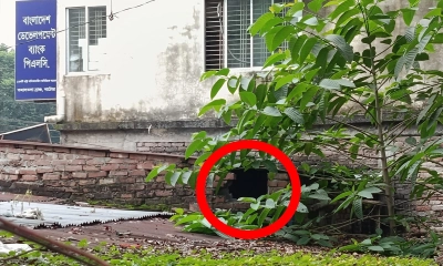 নাটোরে রাতের অন্ধকারে দেয়ালের ইট খুলে দোকানে চুরি