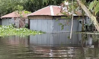 লালমনিরহাটে বন্যায় ২০ হাজার পরিবার পানিবন্দি, বাড়ছে তিস্তার পানি 