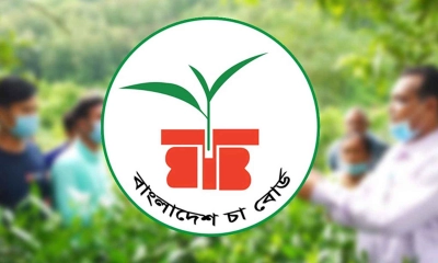 চা বোর্ডের নতুন চেয়ারম্যান মেসবাহ উদ্দিন আহমেদ