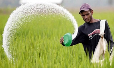 ৯৫ হাজার টন সার আমদানির অনুমোদন