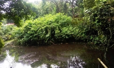 সোনারগাঁয়ে পৈত্রিক সম্পত্তি দখলের চেষ্টা