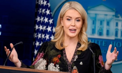 ক্যারোলিন লেভিট। ছবি- সংগৃহীত