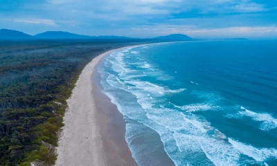 হাঙ্গরের আক্রমণে সমুদ্র তীরে তরুণীর মৃত্যু, আহত তরুণ