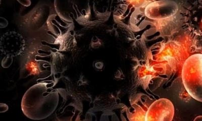 এইডসের ভয়াবহ সংক্রমণ, এক বছরে নতুন আক্রান্ত ১৩ লাখ