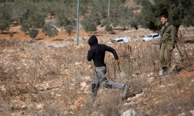 ইসরায়েলের বাধায় নিজেদের জমিতে যেতে পারছেন না ফিলিস্তিনিরা, বিপর্যয়ে জলপাইশিল্প