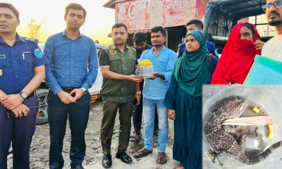 সোনারগাঁয়ে বিলুপ্তপ্রায় তক্ষকসহ আটক ২