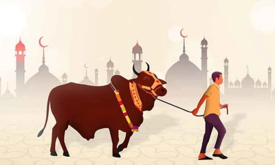 পবিত্র ঈদুল আজহা কাল
