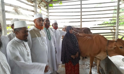 সেই আছিয়ার পরিবারকে গাভী ও গোয়ালঘর দিলেন জামায়াত আমির