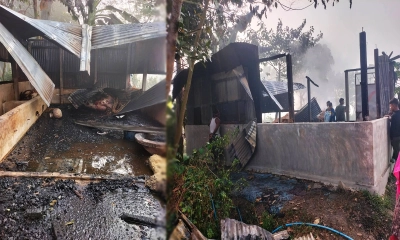 এক রাতেই নিঃস্ব খামারি আলম