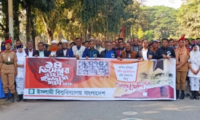 যথাযথ মর্যাদায় ইবিতে শহীদ বুদ্ধিজীবী দিবস পালিত