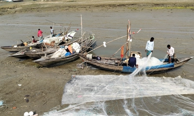 নৌকার নিলামে মৎস্য কর্মকর্তার গোপন লুট