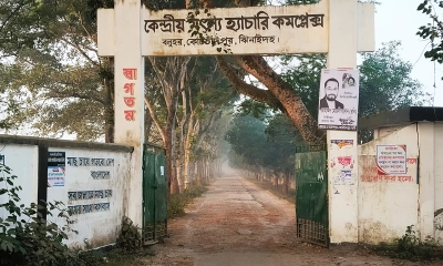 বলুহর প্রজেক্টে মাদক ও বখাটেদের উপদ্রব