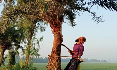 ছবি: রূপালী বাংলাদেশ ছবি: রূপালী বাংলাদেশ