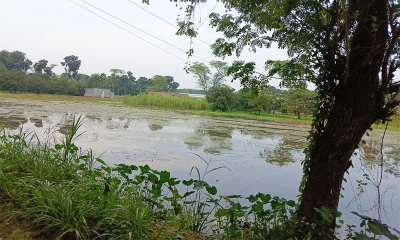 ছবি: রূপালী বাংলাদেশ ছবি: রূপালী বাংলাদেশ