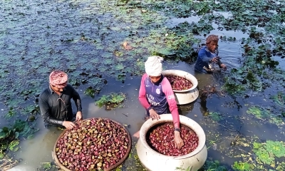 ছবি:  রূপালী বাংলাদেশ